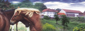 Отель Gefildehof Göpel  Эйзенах